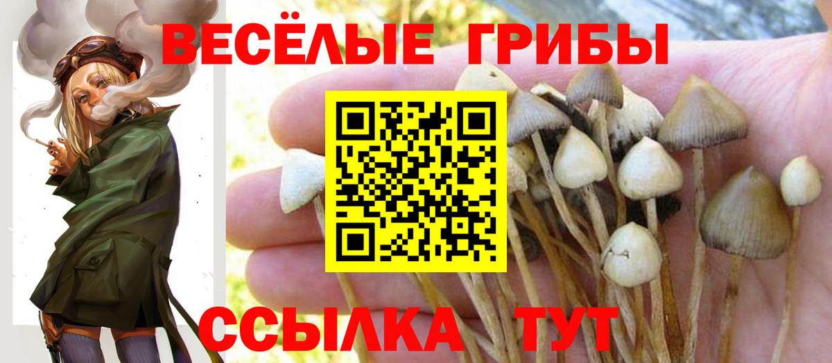 Псилоцибиновые грибы ЛСД Гусев