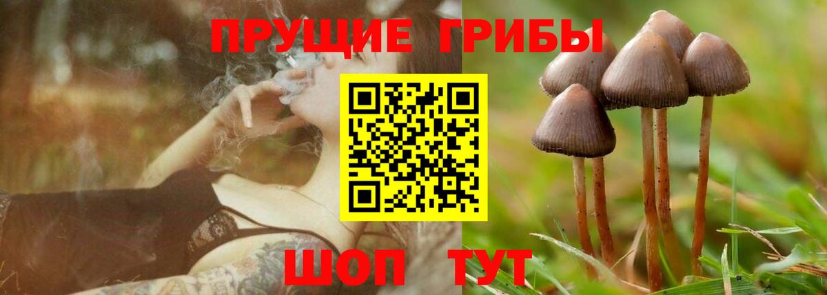 Псилоцибиновые грибы ЛСД  Вход с VPN  Гусев  Псилоцибиновые грибы Magic Shrooms 